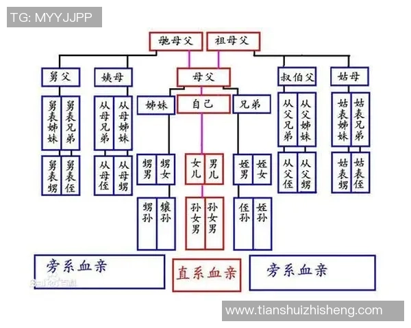 足球明星的亲属关系揭秘他们的家族背景与亲戚关系分析 足球明星的亲属关系揭秘他们的家族背景与亲戚关系分析