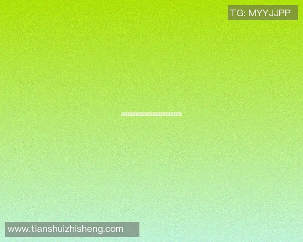明星篮球赛盛况空前众多明星齐聚一堂展现球技与魅力